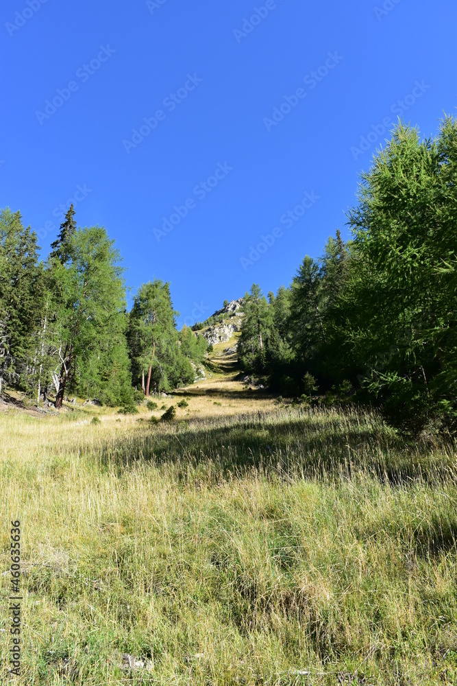 Obraz premium Österreich-Alpen