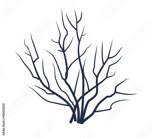 Bare tree without leaves. Dark silhouette. Picture. Crown with branches. Or close-up of bush. Winter or autumn season. Isolated on white background. Vector art
