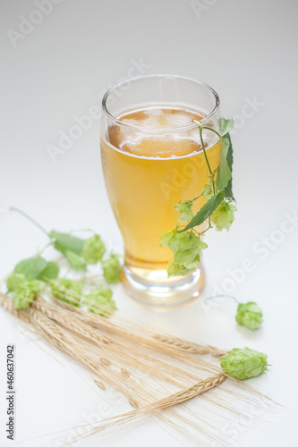 Glass of beer with hops and barley