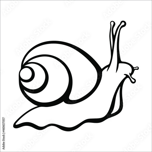 Vector black and white linear illustration of a snail