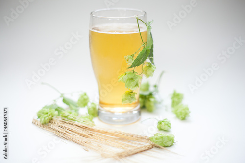 Glass of beer with hops and barley
