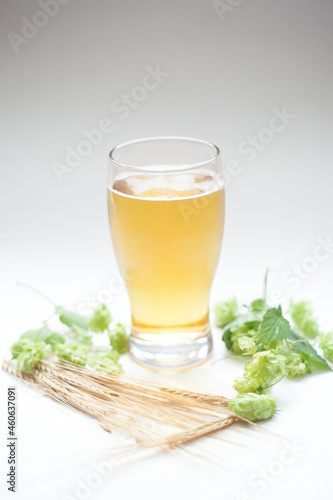 Glass of beer with hops and barley