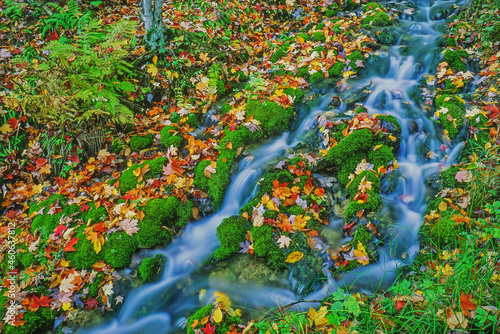 Autumn landscape of cascade and fallen leaves, Autrain Falls, Michigan's Upper Peninsula, USA