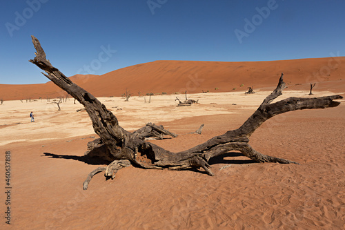 Paisaje del valle de la Muerte en el desierto de Sossusvlei en Namibia.