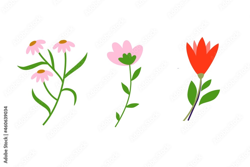 bouquet of flowers isolated on white background. illustration design 