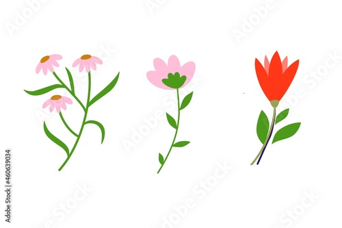 bouquet of flowers isolated on white background. illustration design 