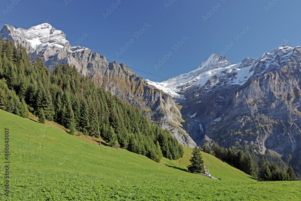 Grindelwald, Alpen Schweiz