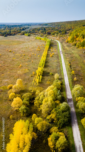 Aerial view on road forest tree environment forest nature background
