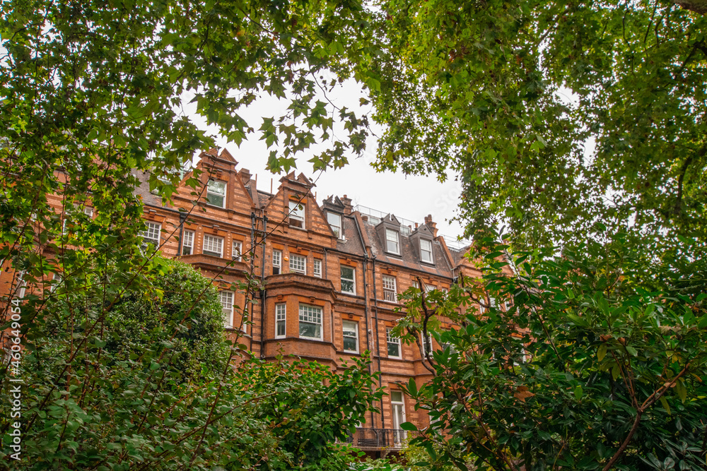 Facade of English Cistorian Style terraced Townhouses behind green foliage in Chelsea London