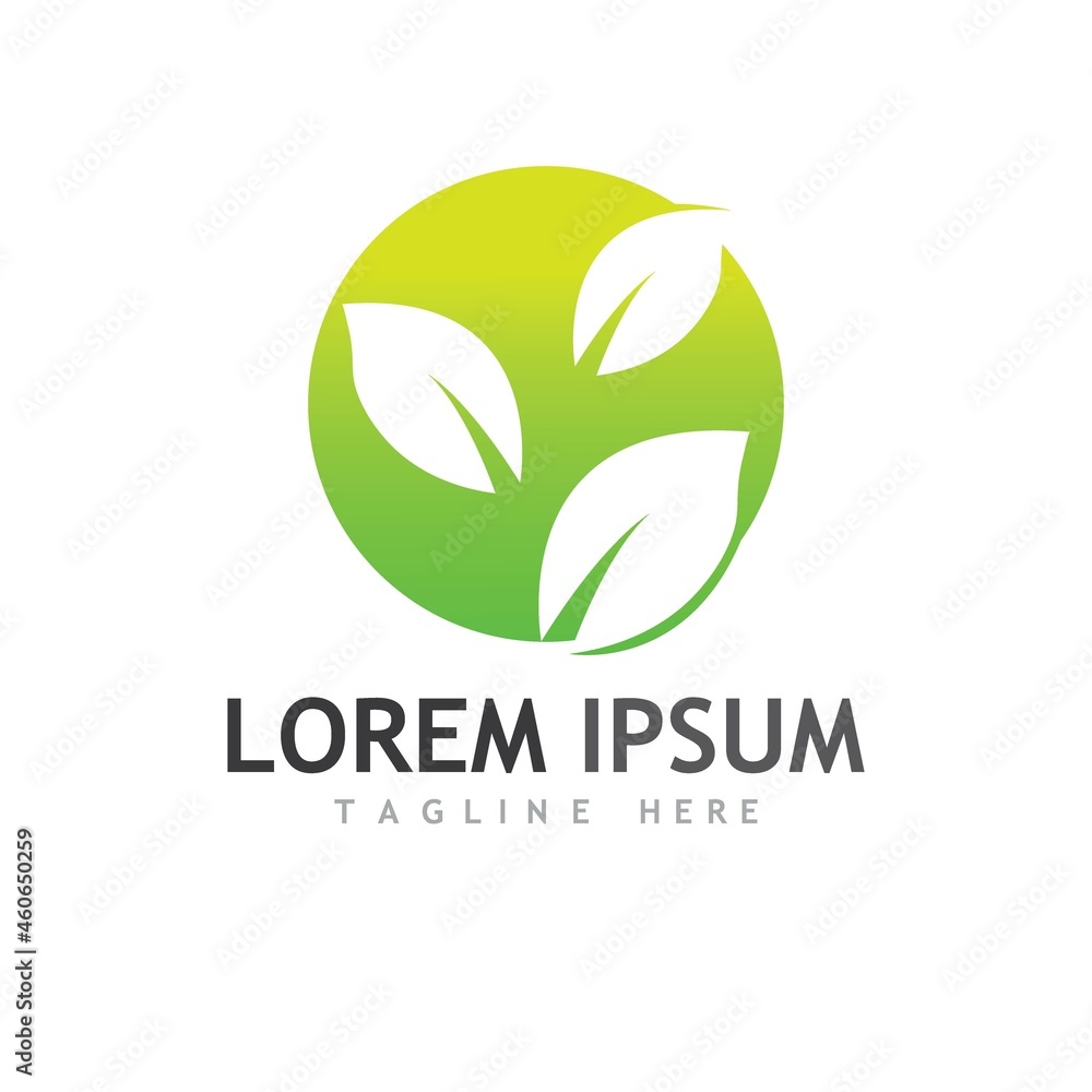 Obraz premium leaf logo and vector images