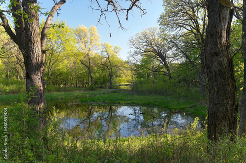 pond and forest of battle creek regional park in saint paul minnesota