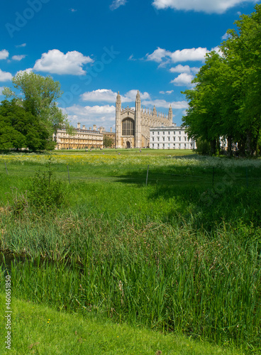 Facade of Gothic style King's College Chapel next to the Gibbs' Building among fields and trees in the University of Cambridge England