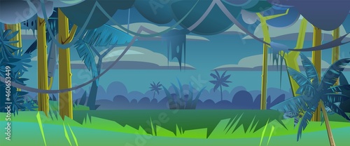 Rainforest leaves. Dense thickets. Night view from Dark jungle forest. Southern Rural Scenery. Illustration in cartoon style flat design. Tropical forest panorama. Vector