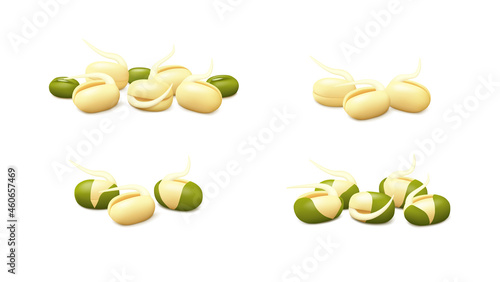 Groups of young mung bean sprouts (peeled, unpeeled, with dried green gram) isolated on white background. Realistic vector illustration. Side view.