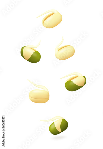 Falling down young mung bean sprouts isolated on white background. Side view. Realistic vector illustration.