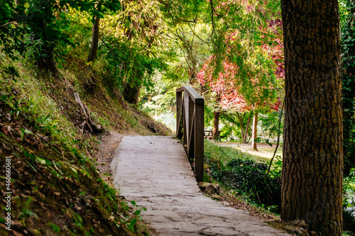 Path inside the forest towards the source of the river Ebro, Fontibre, Cantabria, Spain photo