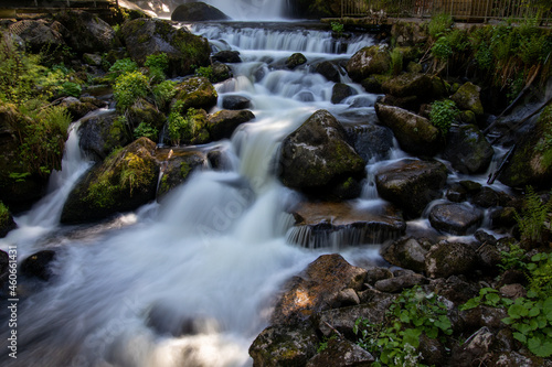 Fototapeta Naklejka Na Ścianę i Meble -  Triberger Wasserfälle