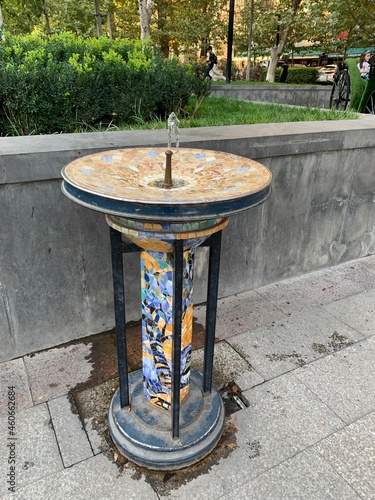 fountain in the garden