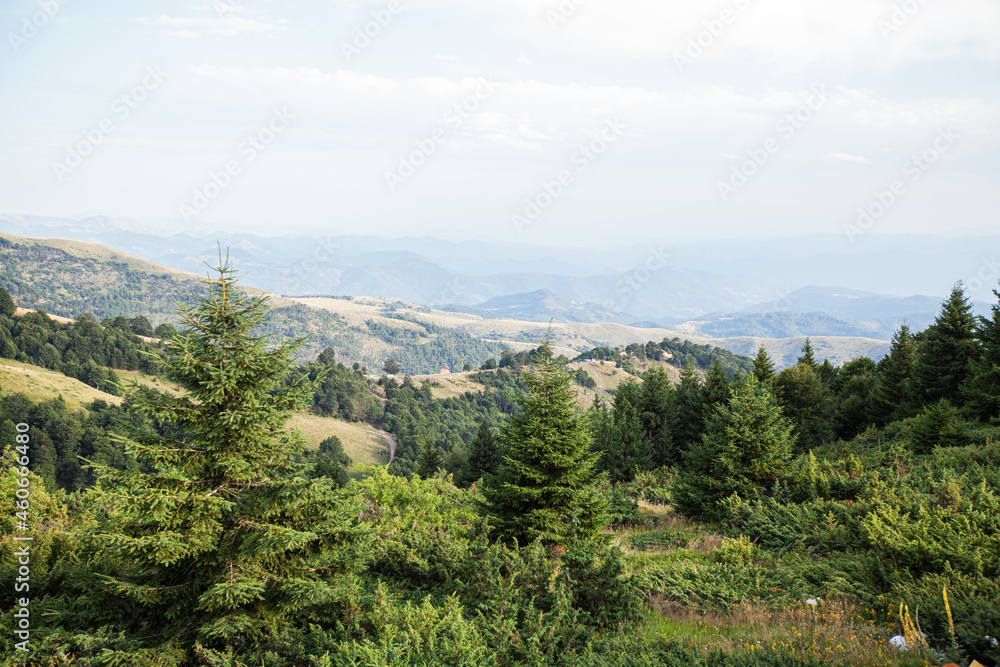 Mountain nature landscape. Panoramic view of Kopaonik mountain landscape. Serbia.