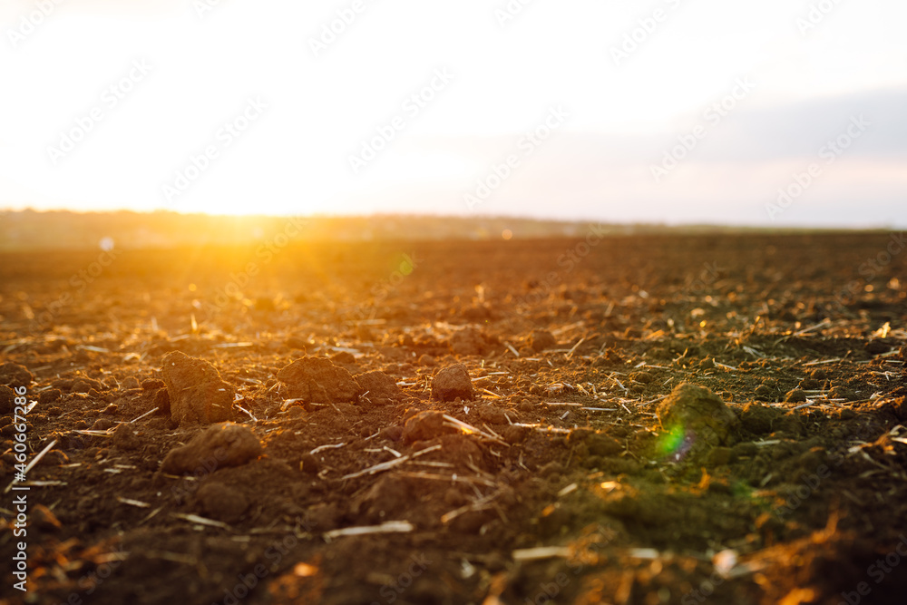 Plowed field at sunset. Agriculture, soil before sowing. Fertile land texture, rural field landscape. - obrazy, fototapety, plakaty 