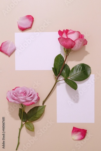 Mockup with blank paper sheet card, rose flowers over beige pastel background. Minimal brand template. Flat lay, top view