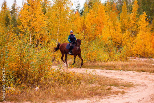 a galloping rider on a red horse on the background of an autumn landscape