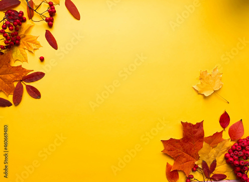 Autumn border banner with natural dried leaves and red berries on bright yellow background, top view, copy space. Autumn, thanksgiving day web banner background, cozy flat lay. Lay out, top view.