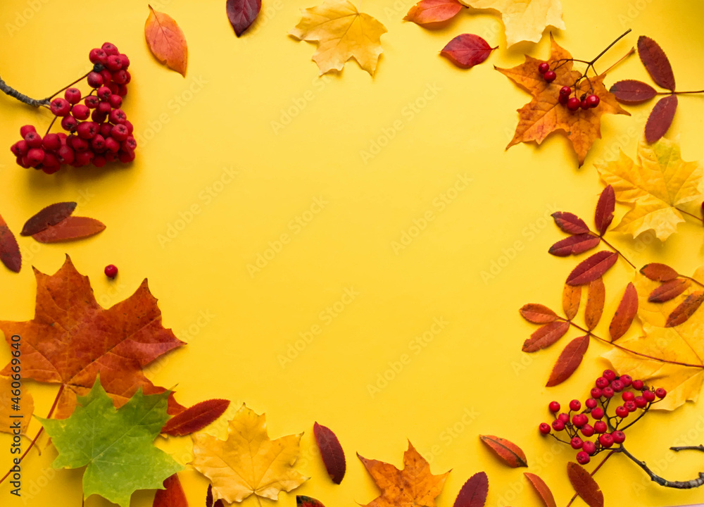Autumn border banner with natural dried leaves and red berries on bright yellow background, top view, copy space. Autumn, thanksgiving day web banner background, cozy flat lay. Lay out, top view. Autumn border banner with natural dried leaves and red berries on bright yellow background, top view, copy space. Autumn, thanksgiving day web banner background, cozy flat lay. Lay out, top view.