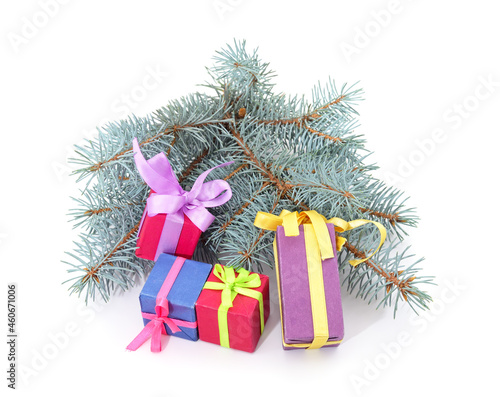 Blue branches of pine with a gift.