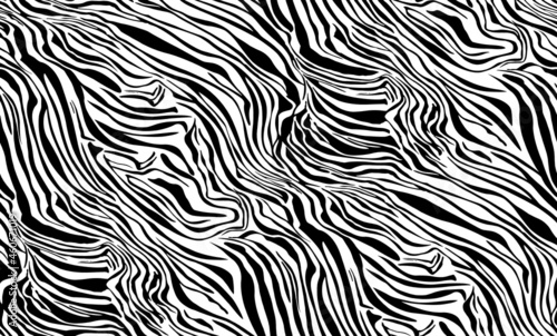 Seamless zebra pattern, animal print.