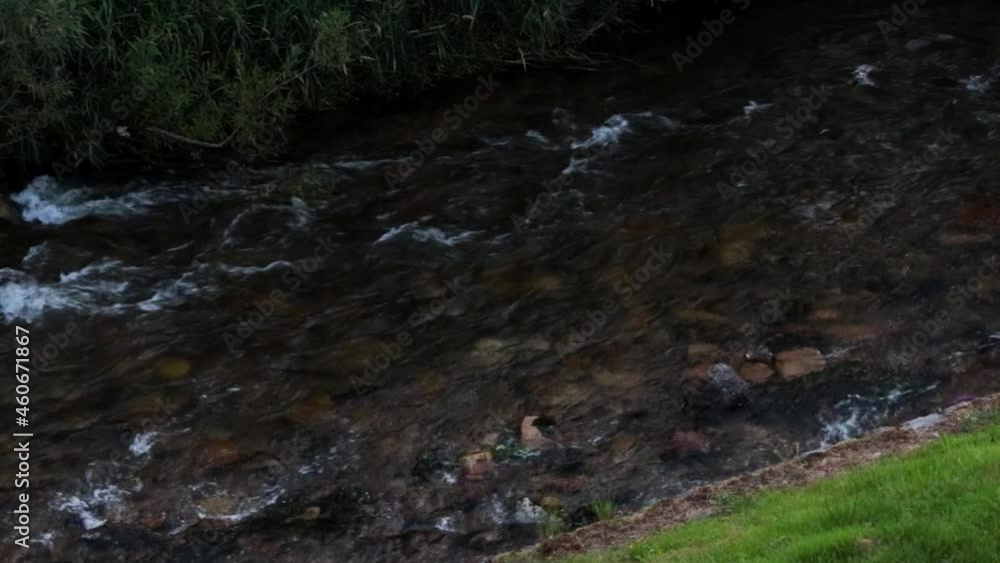 View of a small mountain river in the evening View of a small mountain river in the evening
