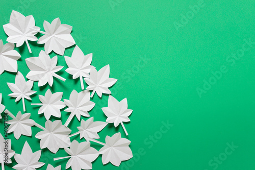 Paper season composition with white maple leaves on green background photo