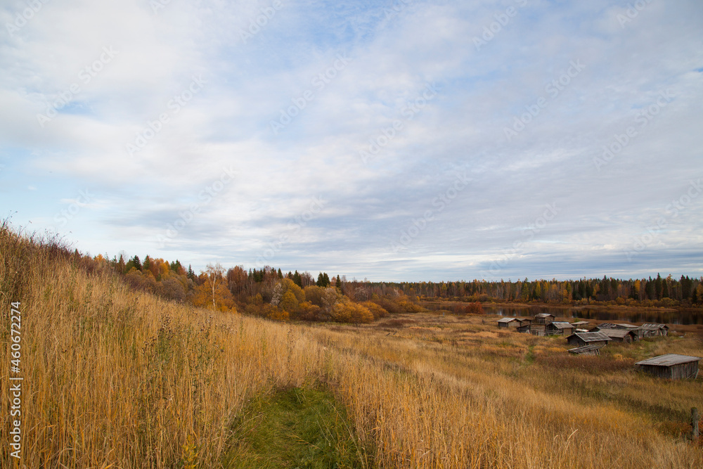Beautiful autumn landscape with yellow leaves on trees. Beautiful autumn landscape with yellow leaves on trees.