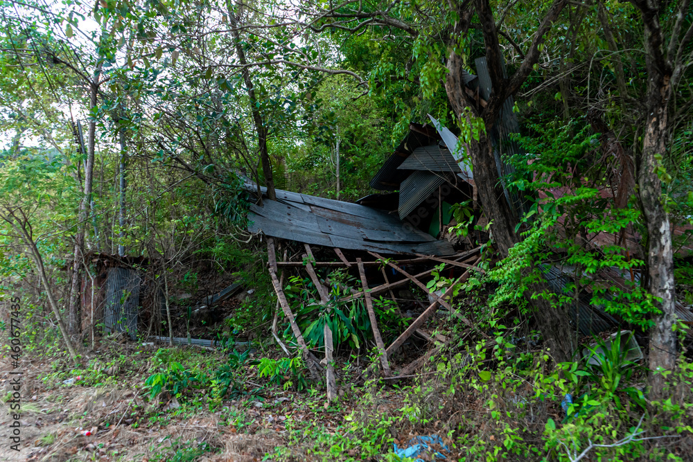 Ruined abandoned hut in the jungle a