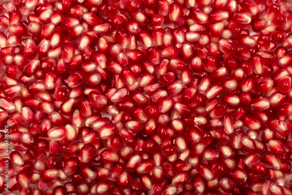 Pomegranate Seeds Isolated on White Background Pomegranate Seeds Isolated on White Background