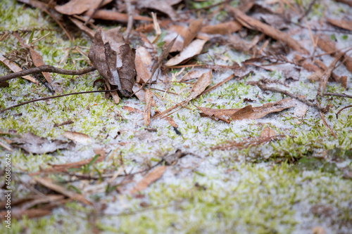 Sleet on the Ground