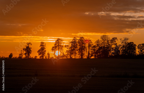 Autumn sunset landscape with silhouettes of trees and orange color sky