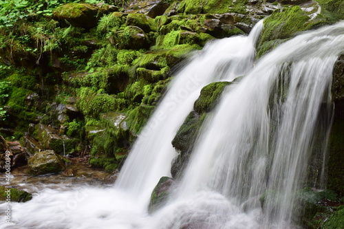 Fototapeta Naklejka Na Ścianę i Meble -  waterfall in the forest