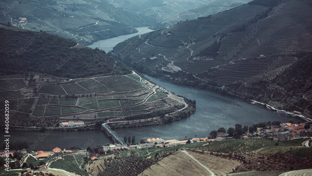 View of the Douro river and Douro Valley, vineyards are on a hills, Portugal.