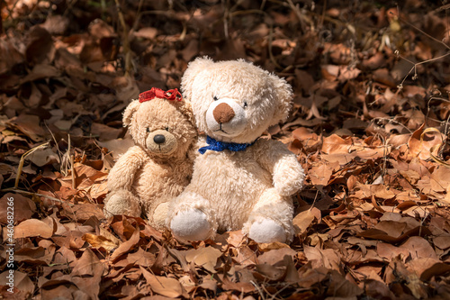 Two teddy bears sitting on autumn leaves