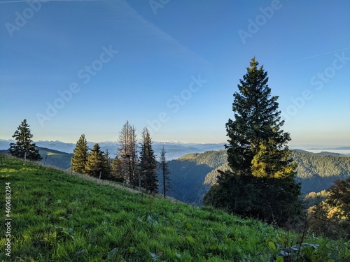 Schnebelhorn Zurich Switzerland.Fantastic sunrise and morning mood to enjoy on the hill.View over the forest to the alps