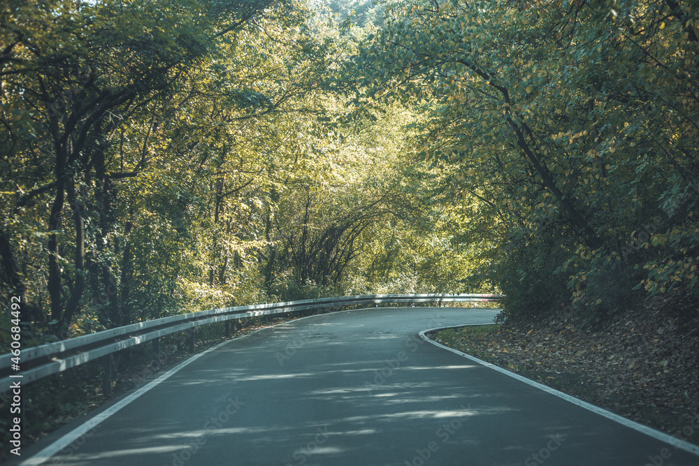 Obraz premium forest road with right curve ahead