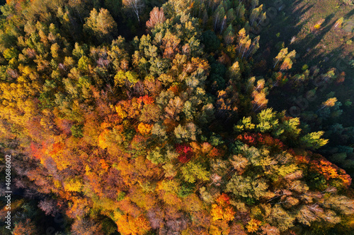 Beautiful colors of autumn. Forest and river photographed with a drone on sunny day. Regional park of neris in Lithuania. Real is beautiful 