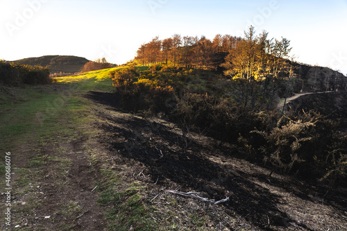 Basque mountains after a wild fire. Burned forest at February 2021. photo