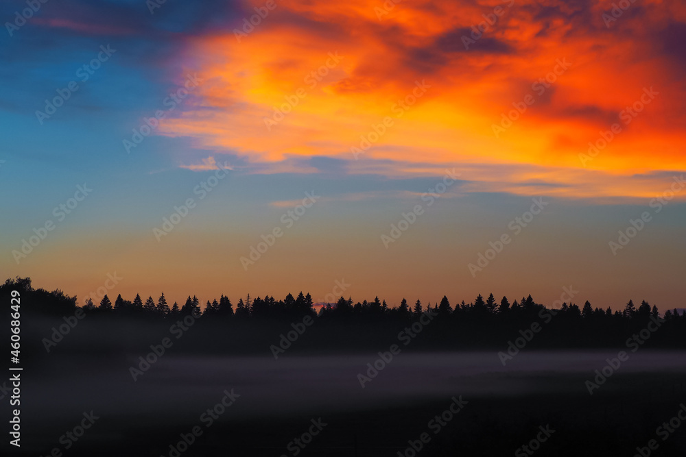 Scarlet sky at sunset over the forest with beautiful clouds
