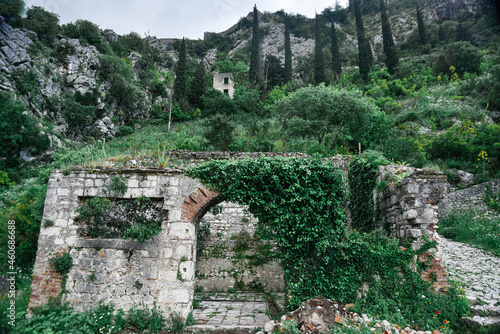 ruins of the castle