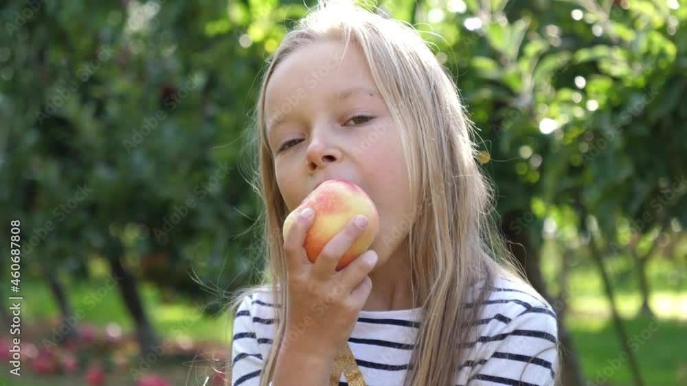 Cute little blonde child girl portrait bite and eat red ripe fruit in apple tree garden countryside nature bright sunny day in autumn in Poland Cute little blonde child girl portrait bite and eat red ripe fruit in apple tree garden countryside nature bright sunny day in autumn in Poland