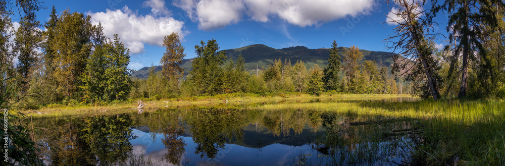 Panorama of Pond and Moutains in Western Washington