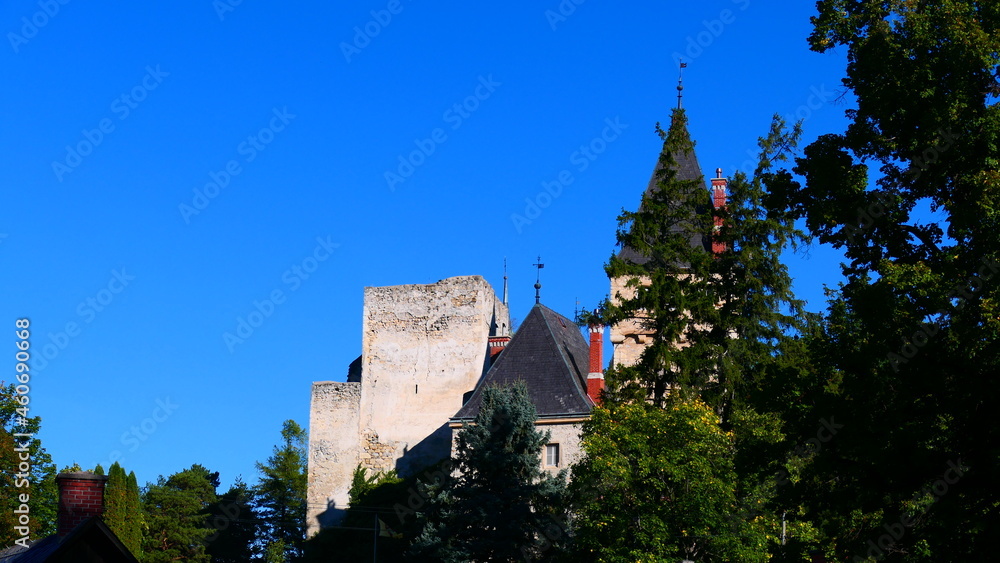 Burgen in den Wiener Alpen