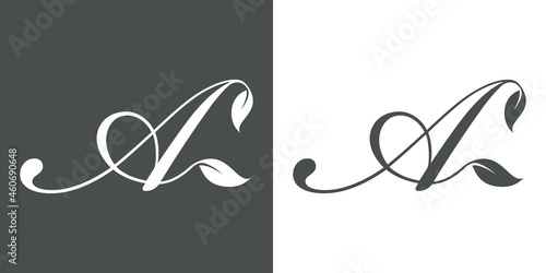 Logotipo letra inicial A con hojas de planta en fondo gris y fondo blanco